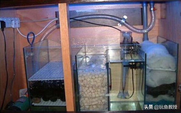 鱼缸新换的水有鱼腥味怎么解决,鱼缸刚换的水隔天就绿了怎么解决