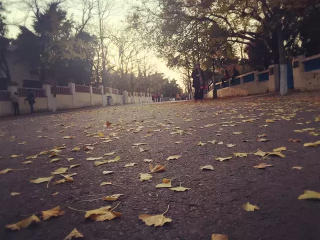 青岛八大关每个楼的故事,今天的青岛八大关