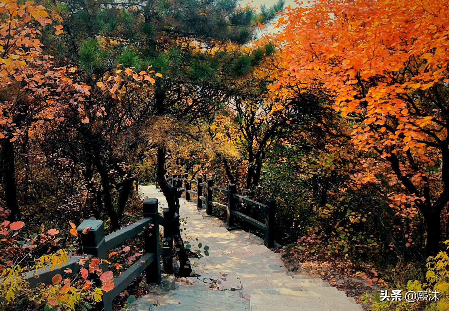 十一月很孤单,十一月孤独寂寞