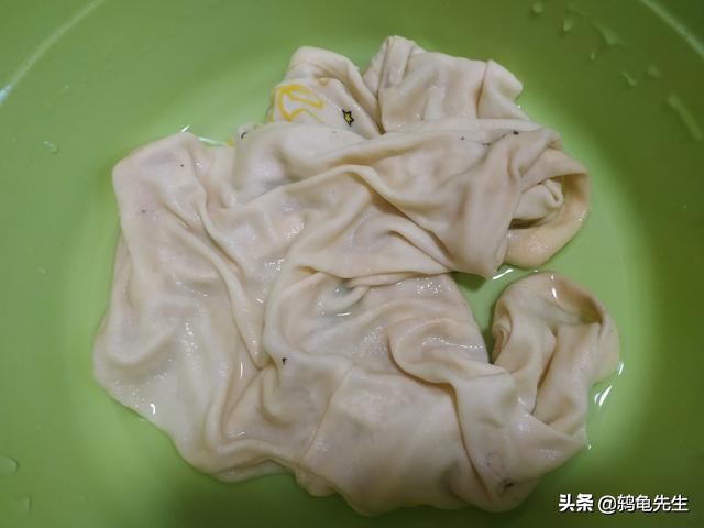 乌龟浅水冬眠和深水冬眠的区别,龟加温过冬和冬眠的区别