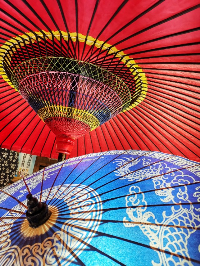 春暖花开我在油菜花田等你,篁岭晒秋我听了风的话