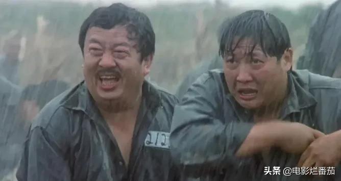 成龙元彪洪金宝刘德华全部电影,刘德华洪金宝成龙一起演的电影