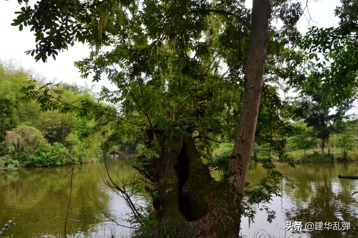 仁寿石咀的小石堰，浓浓的乡愁理不乱也剪不断