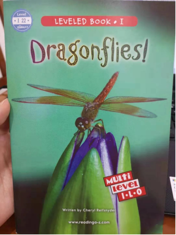 raz启蒙2岁,raz启蒙有用吗