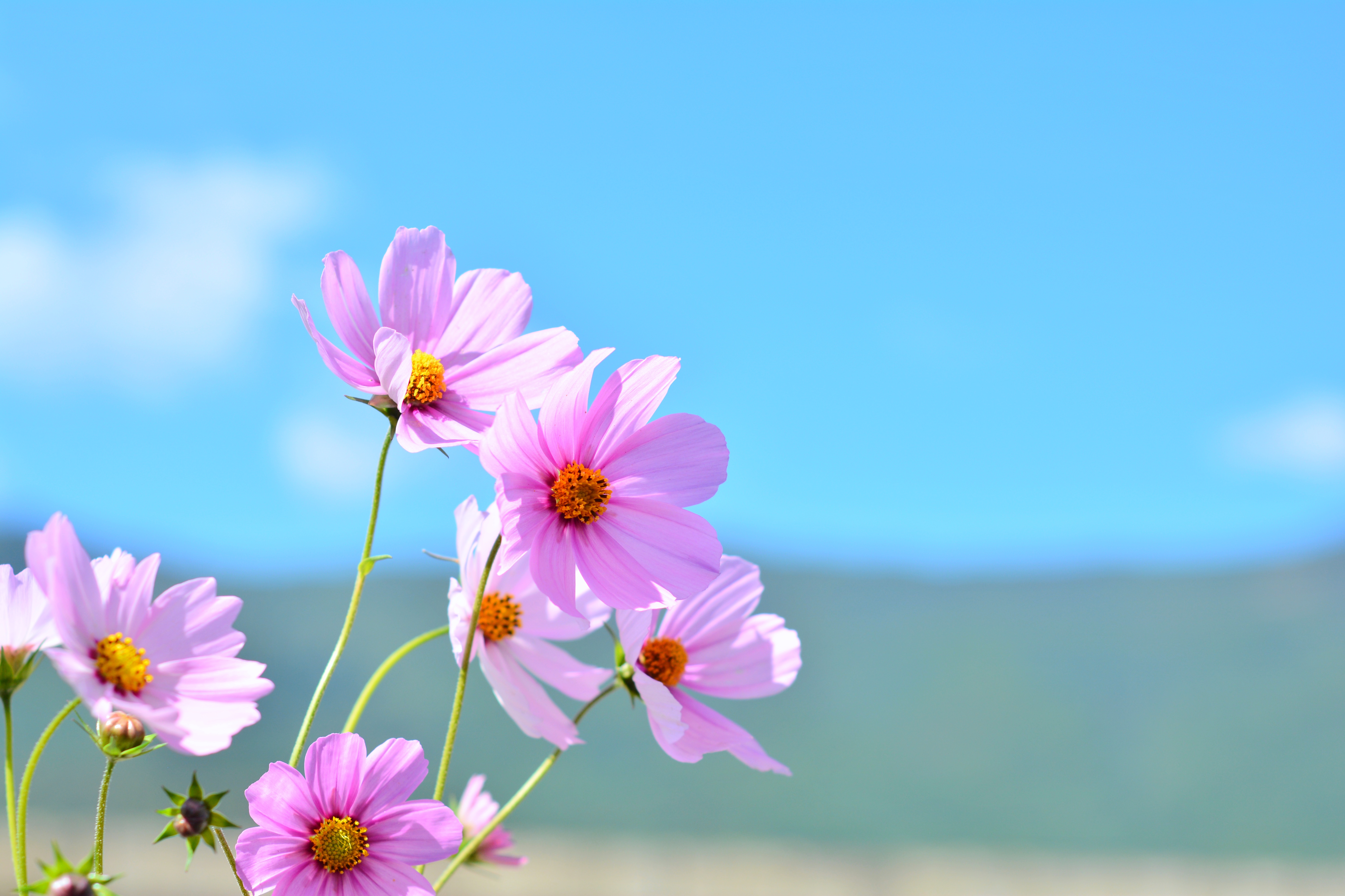 湛江去云南旅游怎么省钱,云南旅游自由行省钱攻略