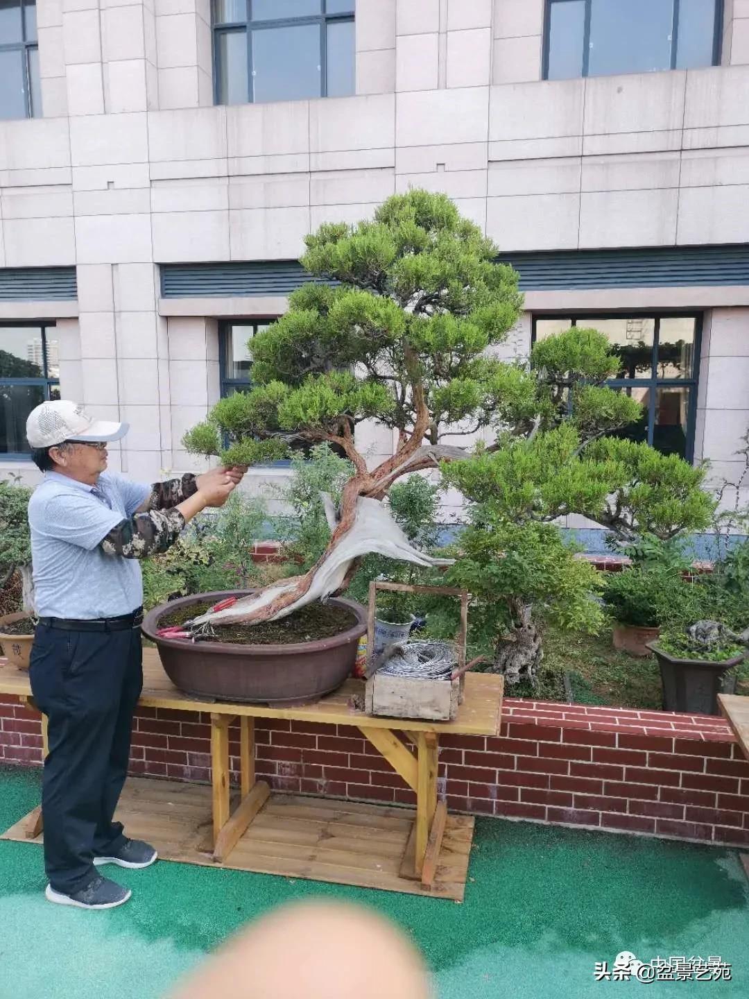 涓浗钁楀悕鐩嗘櫙澶у笀绮惧搧鐩嗘櫙,鐩嗘櫙鑹烘湳瀹跺拰鐩嗘櫙鑹烘湳澶у笀