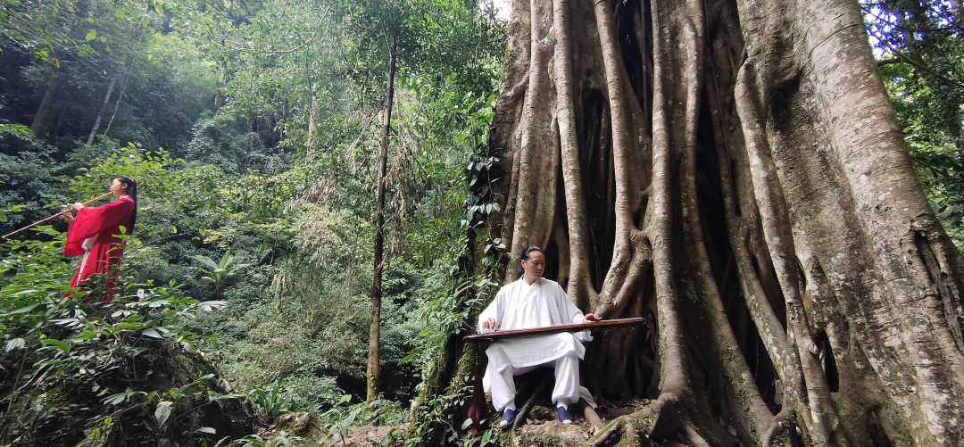 热带雨林犯罪,热带雨林案件最新结果