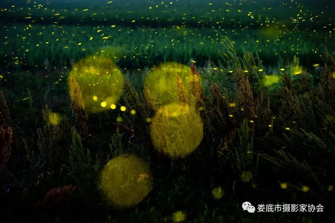 最新风景摄影小品欣赏,娄底景观小品