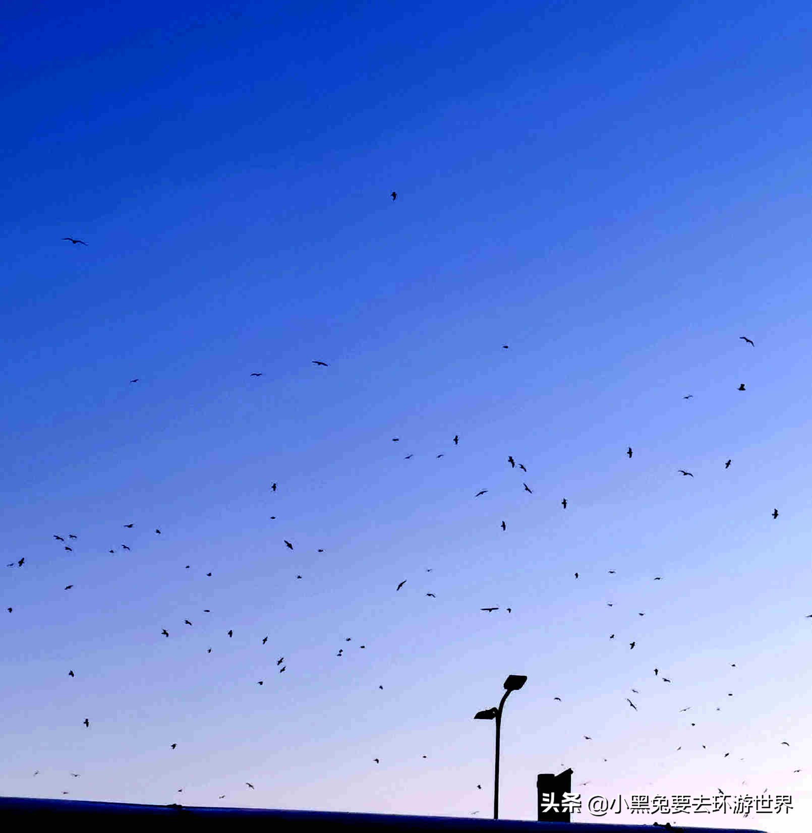 铚＄瑪缁樺埗濉旀灄鑰佸煄,鐖辨矙灏间簹缁樼敾