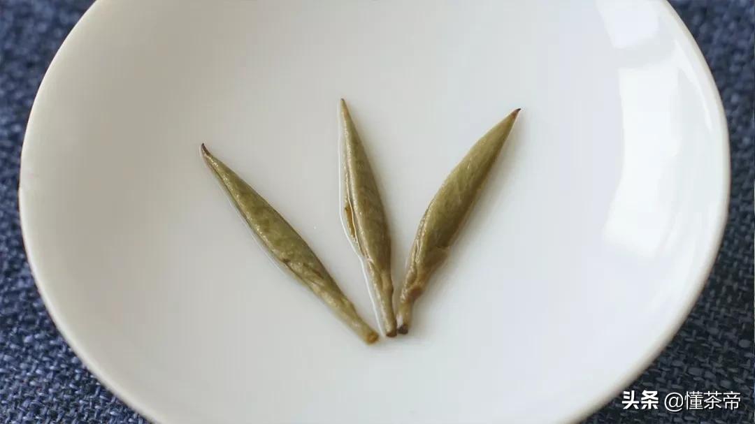 新手小白入门指南买茶小技巧,新手买茶叶注意事项