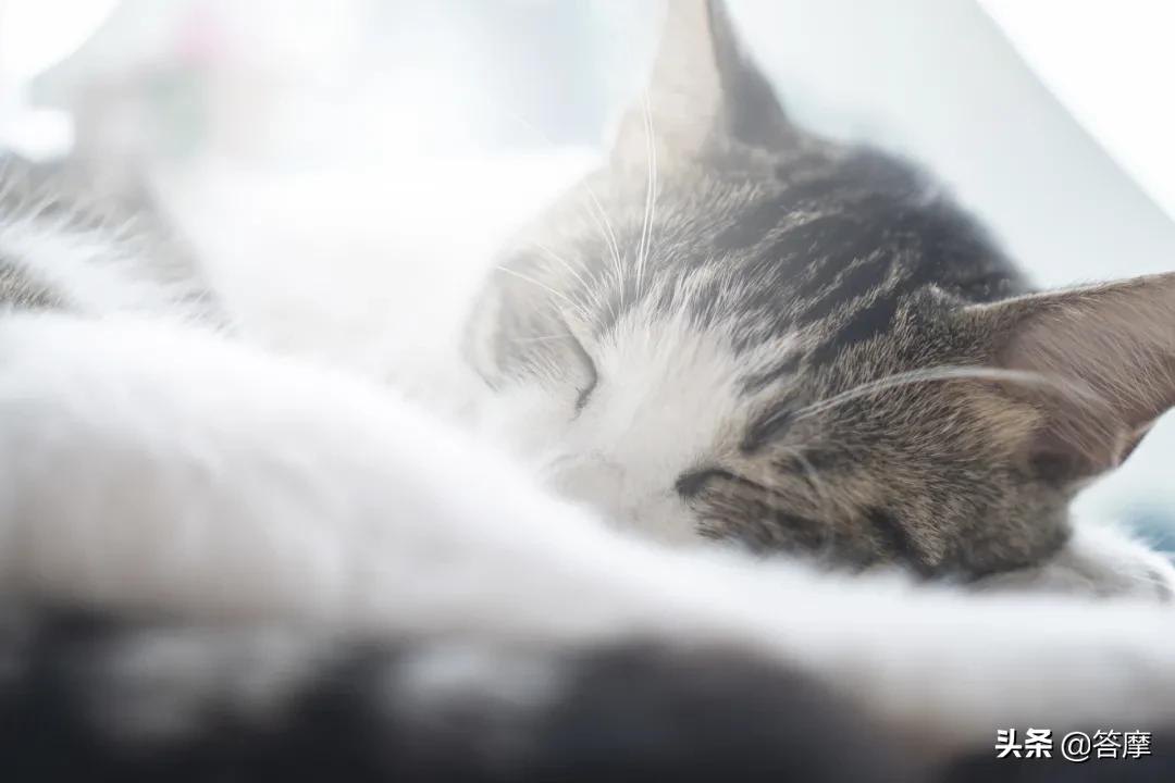 吃了健脾祛湿行气活血的中药犯困,祛湿健脾简单妙招