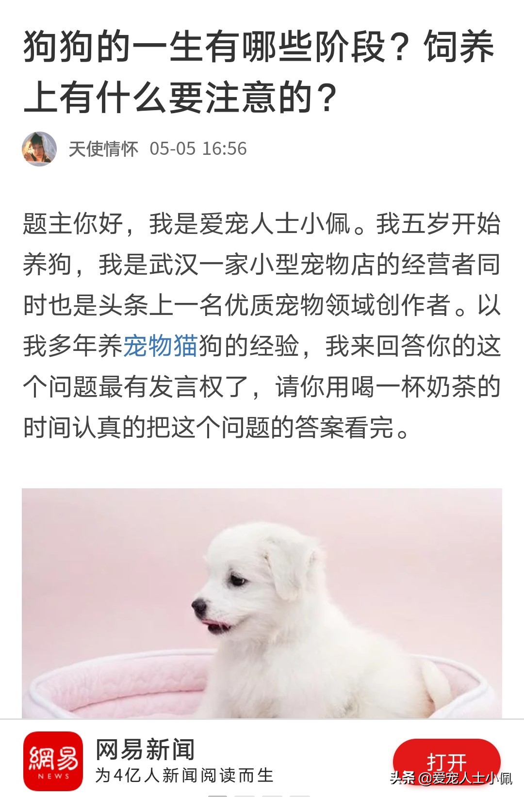 满月幼犬不吃食,刚满月幼犬不吃不喝怎么办