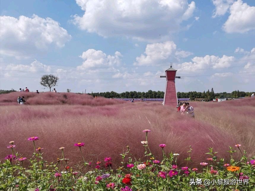 十一国庆苏州景区免费开放,苏州市最值得去看的几个旅游景点