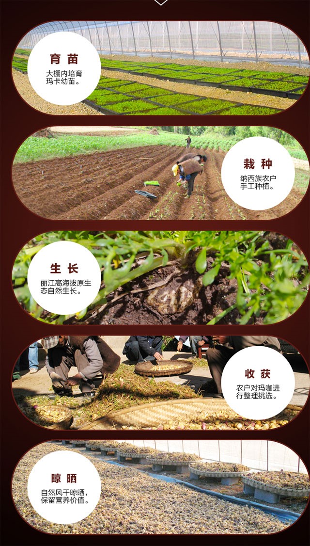 北医三院专家赵兵,赵兵中科院