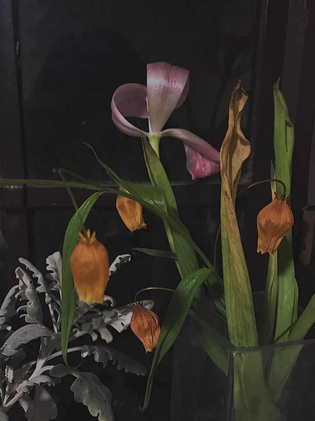 什么花最受女孩欢迎,女孩子中比较受欢迎的花