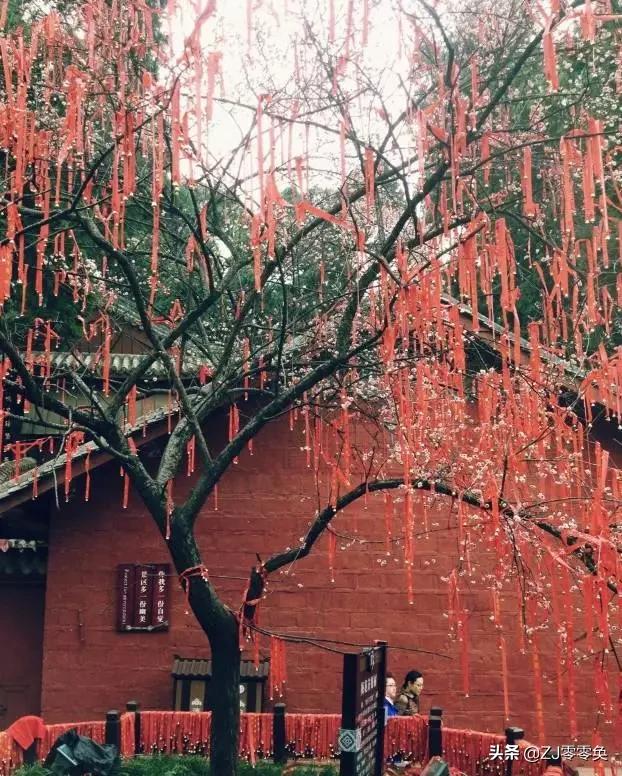 成都周边爬山的好地方人少免费,大年初一成都周边登山游一日游