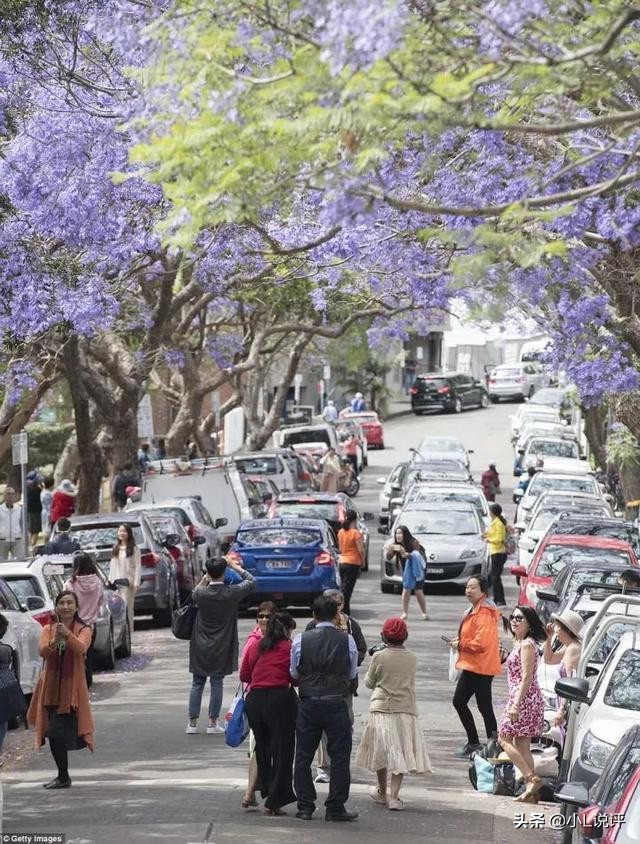 中国大妈们在国外跳广场舞,中国大妈在温哥华商场跳广场舞