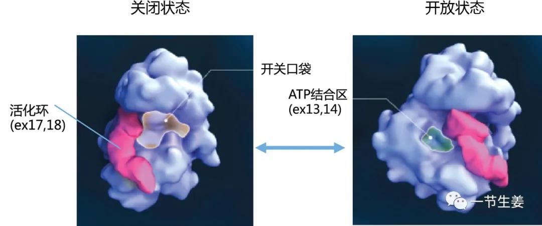 最新的抗癌肿瘤新药,抗癌症的新药新消息