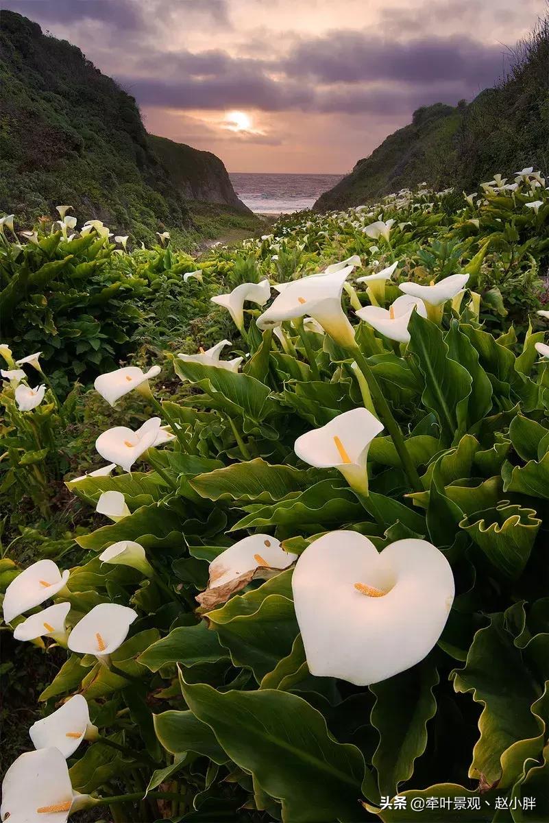 踏春寻美景,踏春赏花梯田漫步