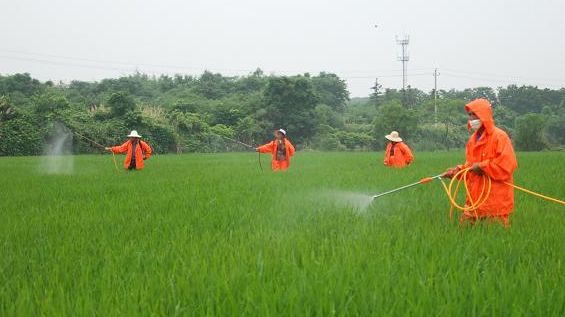 草甘膦和草铵膦安全性对比,草甘膦和草铵膦哪个性价比高一点