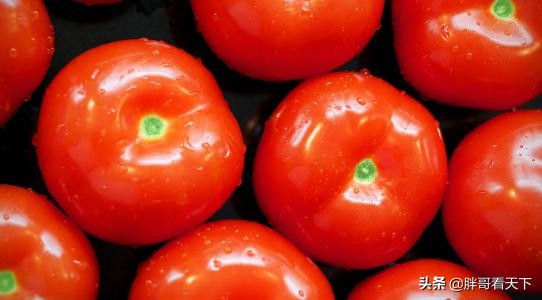 什么食物可以解酒最快,醉酒后吃什么食物最解酒