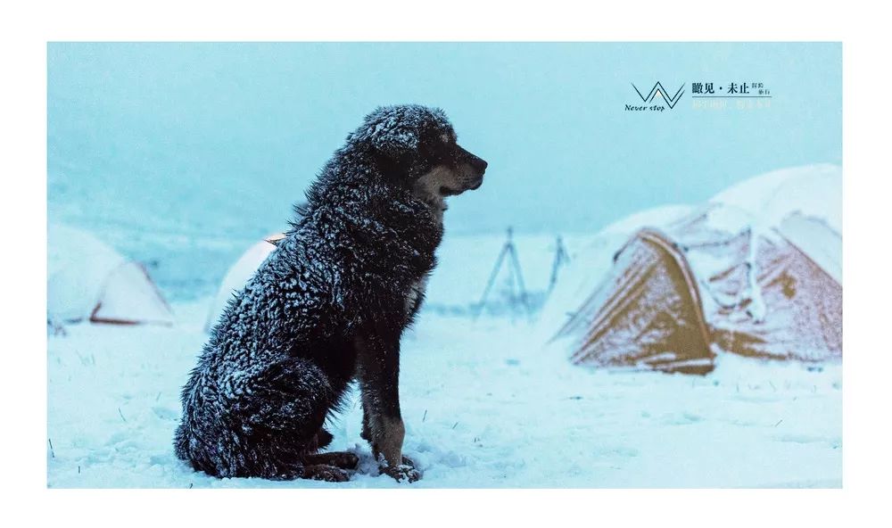 高山之巅的感悟,高山低谷的感悟