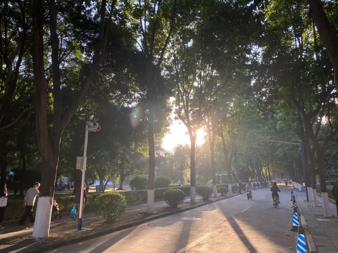 研究生生活的真实写照,工科研究生的日常写照