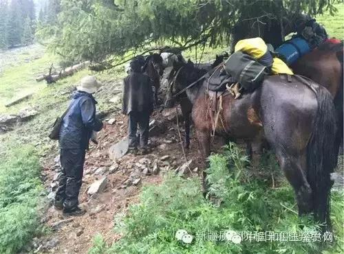 玛纳斯探奇之旅,新疆探秘伊犁