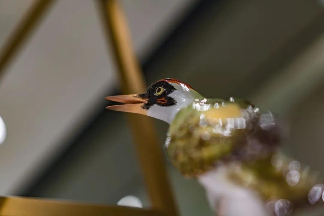 meissen旗舰店,meissen中国专卖店