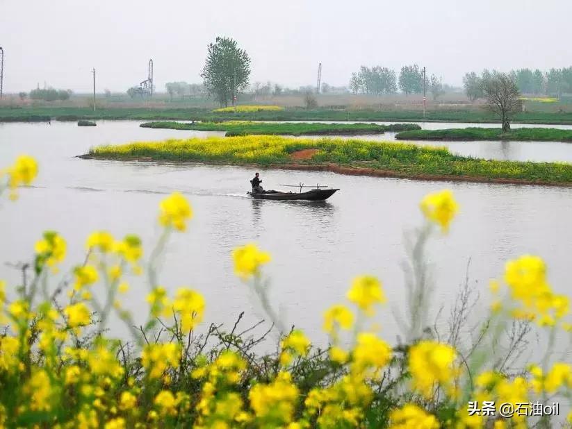 一曲相思在油管视频,一曲相思外国油管评论