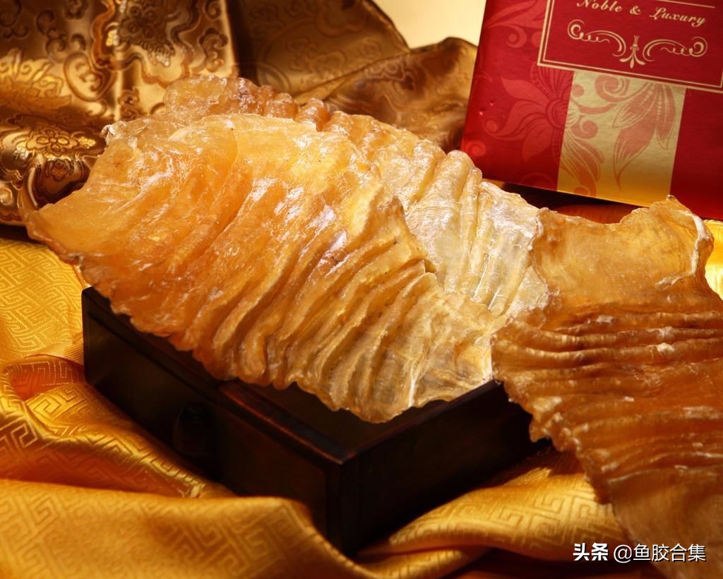 鱼胶怎么保存不会发霉,鱼胶里面发霉长毛有臭味