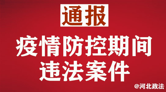 河北邯郸大名县诈骗案件最近破案 (河北防疫物资诈骗案)