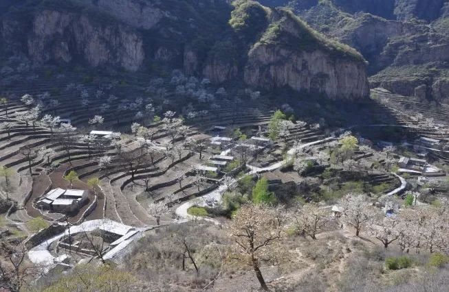 到了京郊这些花开四溢的“仙境”，您简直可以把日子过成诗！