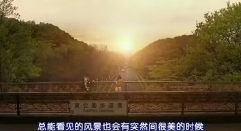 我喜欢摄影的三个原因,浅谈摄影技术与艺术