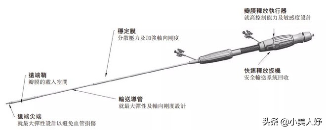 沛嘉医疗和开拓药业的区别,沛嘉医疗前景如何
