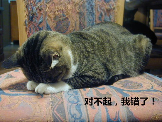 足球与篮球内部的区别,足球转播与现场区别