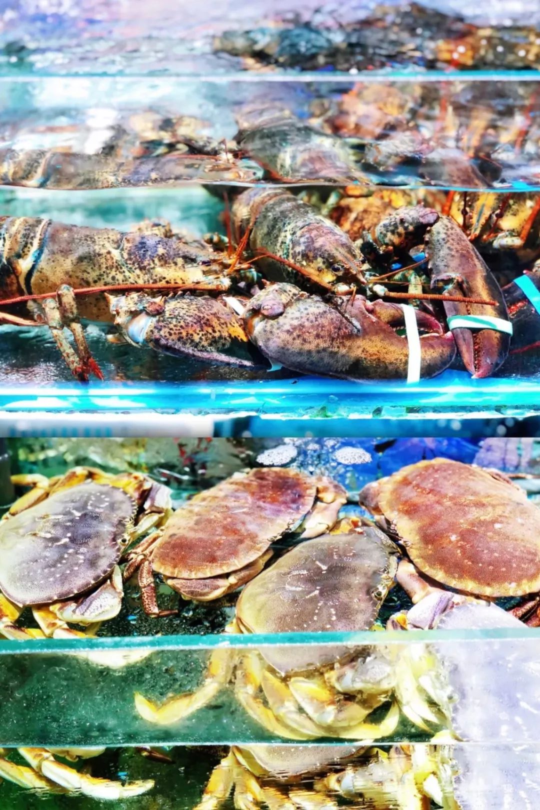 最新最全版私藏版《西安批发市场地图》来啦