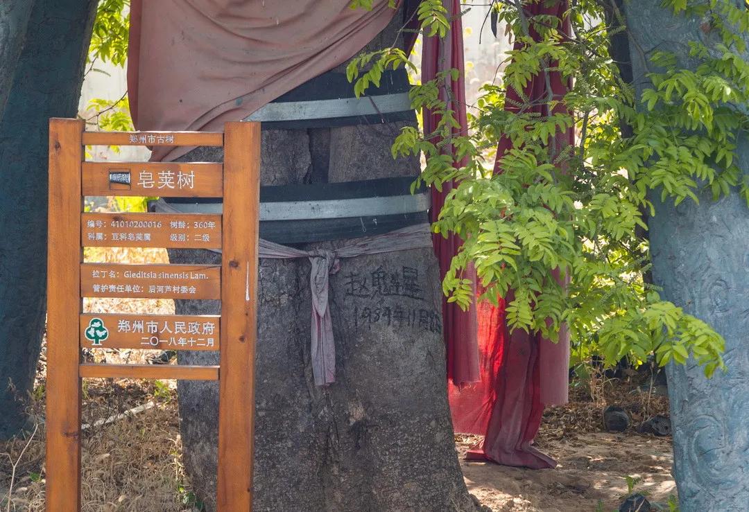 今天，带郑州的老铁们逛吃后河芦