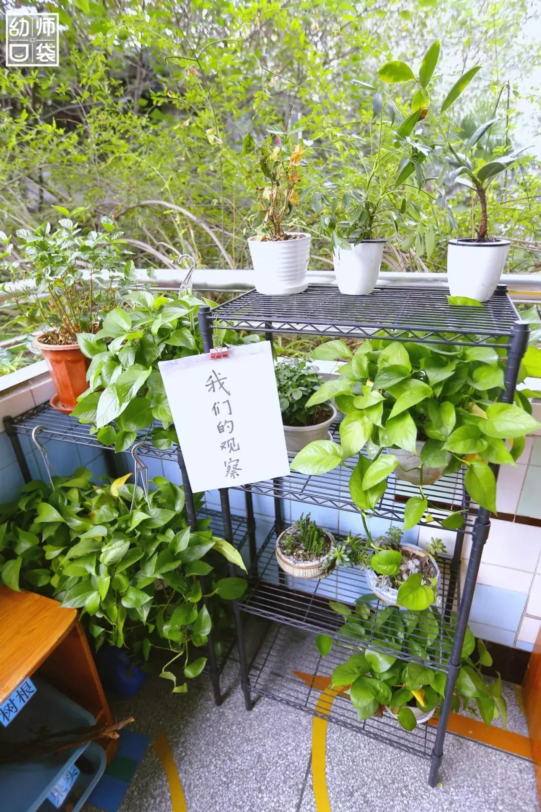 空间小、经费不足、面临*迁拆**，这家幼儿园却给出了满分的环境