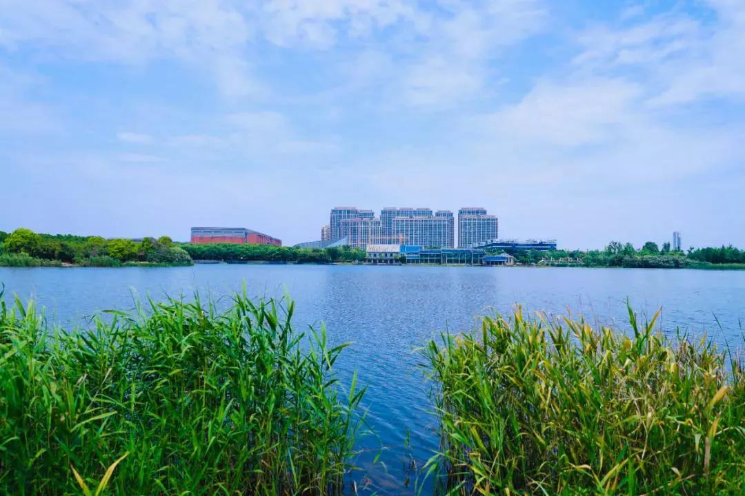 钱塘新区的东湖与金沙湖比较,钱塘区金沙湖规划