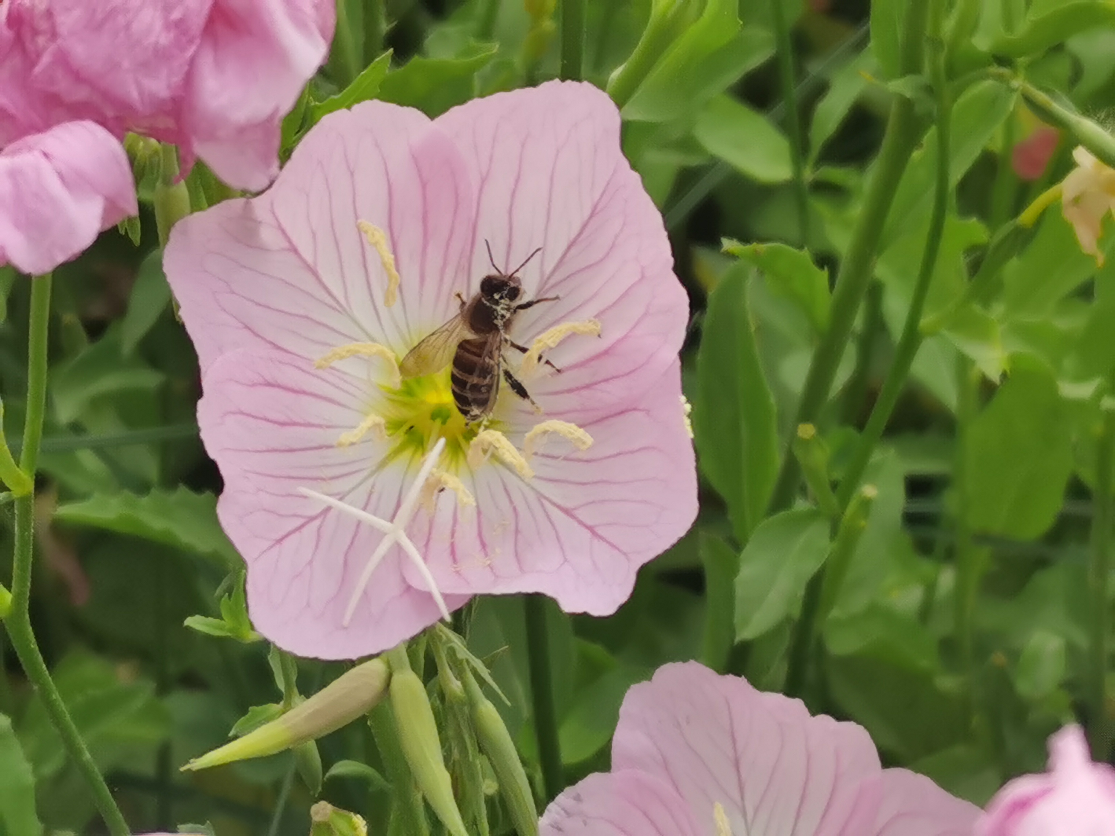 曾经的脏乱差变成了现在的新景观,从面目全非到焕然一新