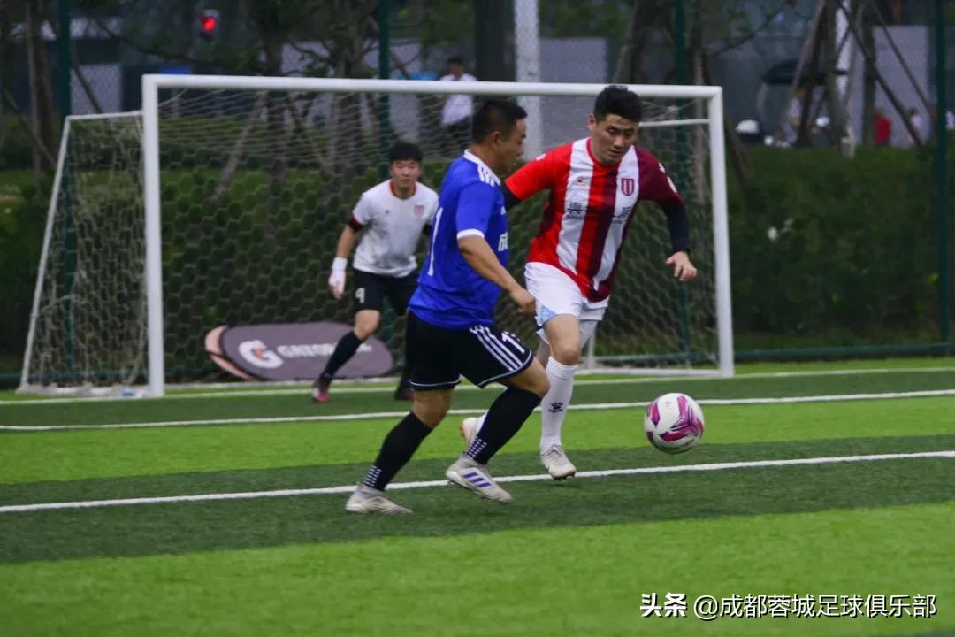 蓉城杯2024,蓉城夺冠