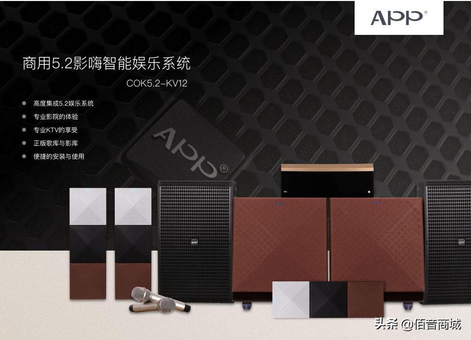 5000以内家庭ktv音响套装推荐,山水pk-10家用ktv音响怎么样