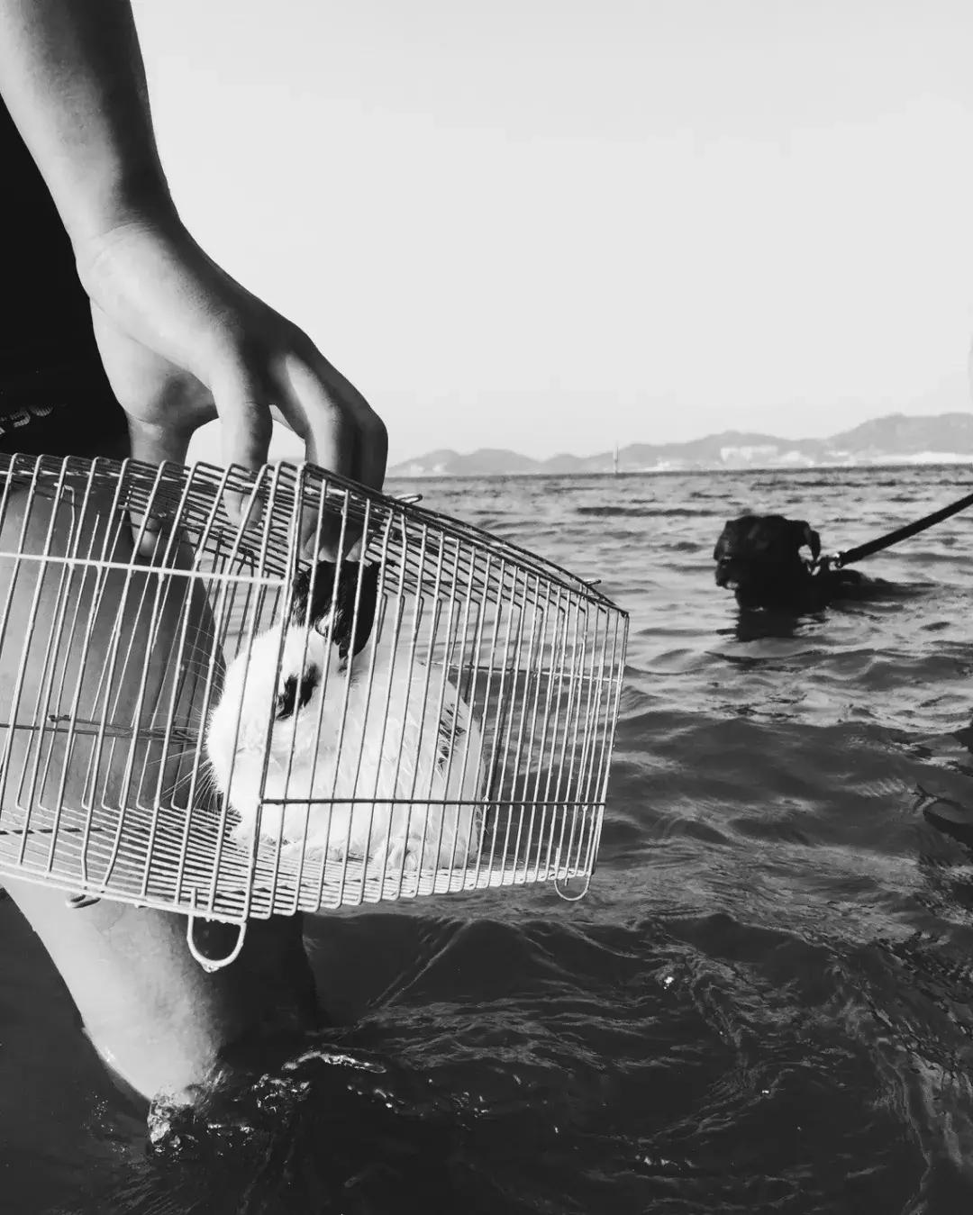 iphone13相机最佳设置,iphone12pro相机设置