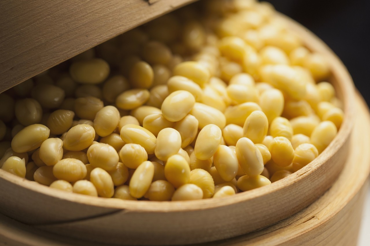 大豆是做什么的原料,中国大豆种哪里