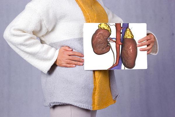 尿常规正常是不是代表肾脏就正常,如何看尿常规报告关于肾脏的指标