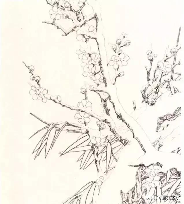工笔梅花教学,工笔梅花设色技巧