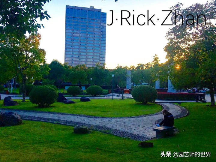 果岭草坪的种植养护方法及技巧,怎么种植一个可以躺的草坪