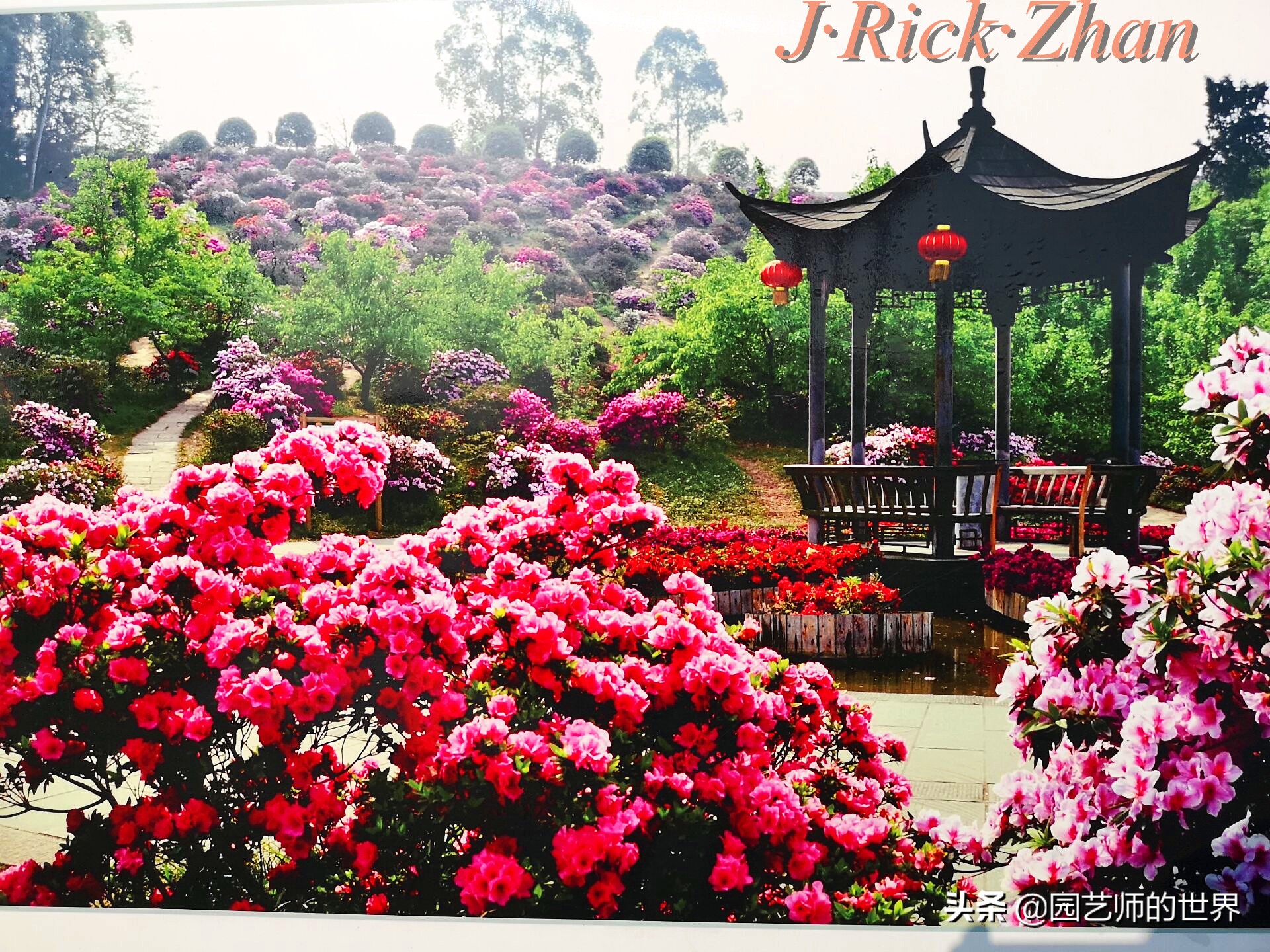 值得参观的国内优秀花园之品鉴（上篇）