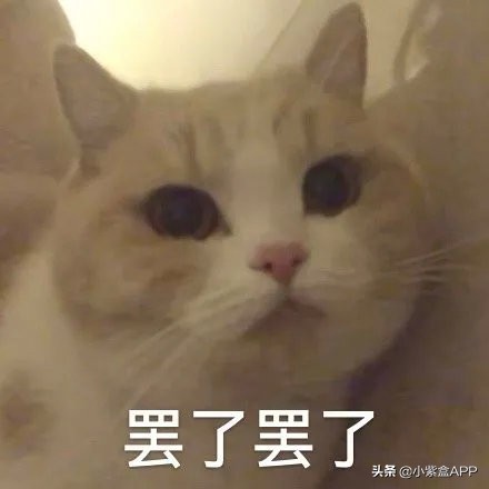 关晓彤″副乳″比胸还大？大型翻车现场太辣眼睛...